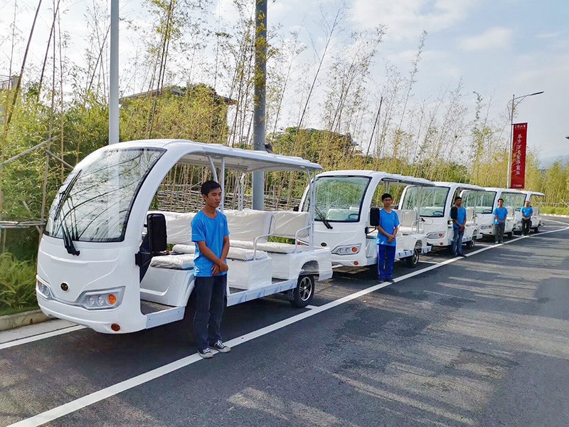 電動(dòng)觀(guān)光車(chē)輪胎